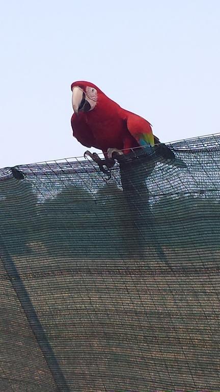 Serenissima サンタ・マルゲリータ・ディ・プーラ エクステリア 写真